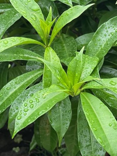 I am not available to accept new clients